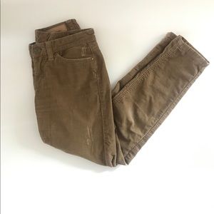 Dark Camel corduroy pants